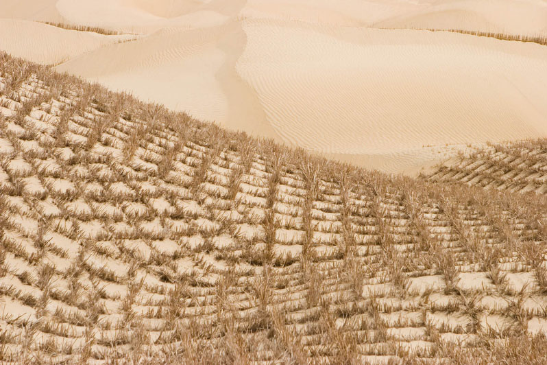 Desert Control, (118)